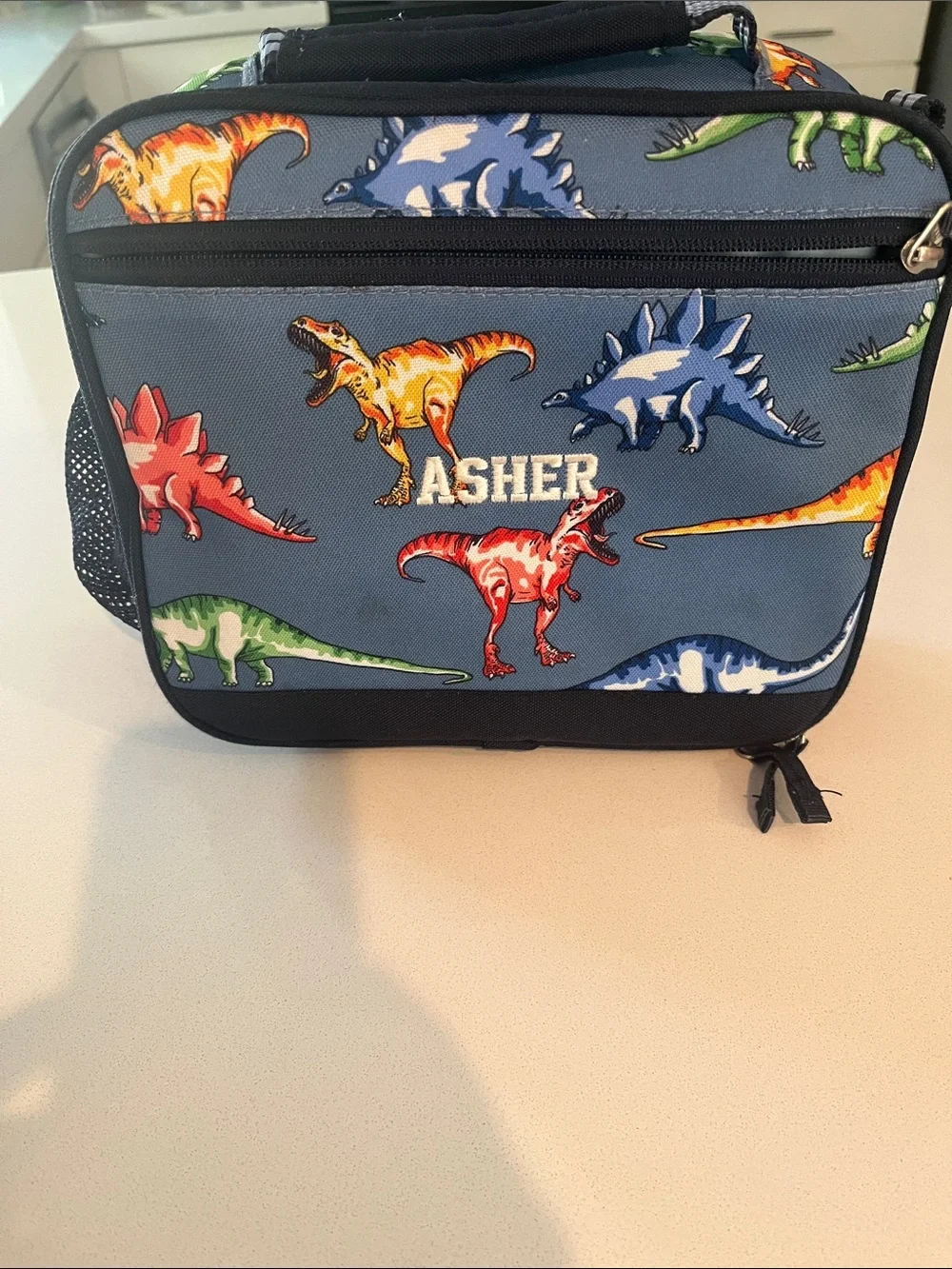 Pottery Barn Kids Dinosaur Lunchbox and Bentgo Dinosaur Lunchbox